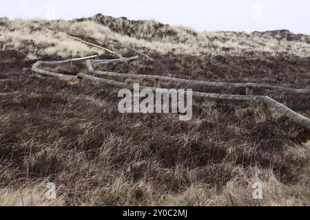 Pfad in den Dünen von Sylt Stockfoto