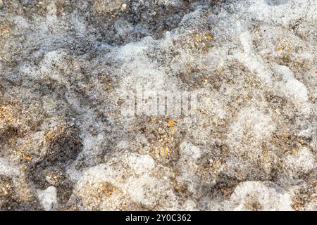 Muschelsplitter und Sand unter Meerwasser und Schaumblasen mit Bewegungsunschärfe Stockfoto