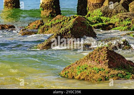 Meerwasser zwischen Steinen und Moos an der Copacabana Stockfoto