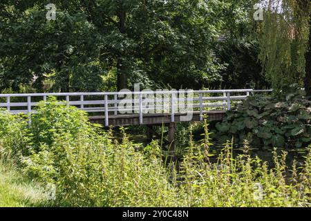 Weiße Holzbrücke überspannt einen kleinen Fluss, umgeben von dichtem Grün im Sommer, Borculo, niederlande Stockfoto