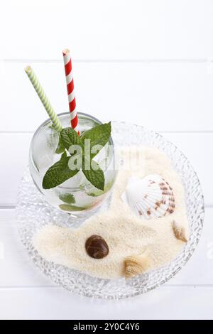 Erfrischendes Sommergetränk, kohlensäurehaltiges Wasser mit Eis und Minze auf weißem Holzbrett Stockfoto