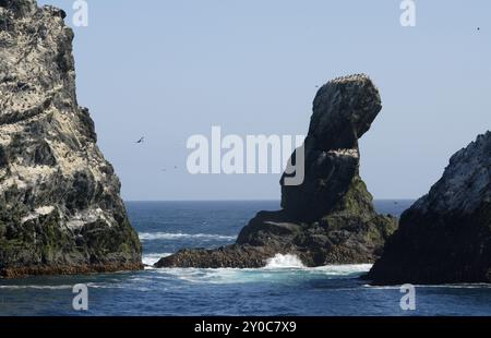 Shag Rocks, ungefähr 130 Meilen westlich von Süd-Georgien im südlichen Atlantischen Ozean, mit Shags Zucht an der Spitze Stockfoto