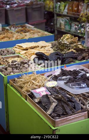 Chinesischen Shop für traditionelle chinesische Medizin Stockfoto