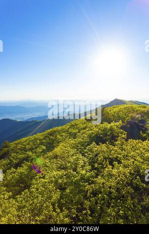 Blick vom Berg Jirisan Viewpont zum Tal, Blick in die Sonne an einem klaren, Frühlingstag in Südkorea. Vertikal Stockfoto