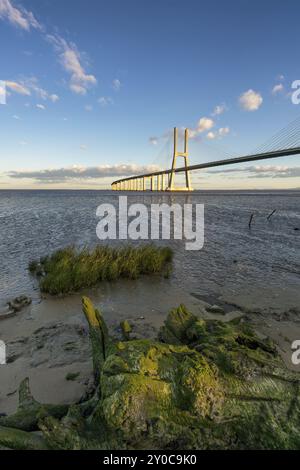 Ponte Vasco da Gama Brücke Blick in der Nähe des Rio Tejo bei Sonnenuntergang Stockfoto