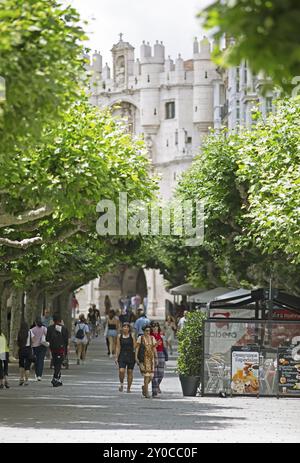 Fußgängerzone Paseo del Espolon oder de Esponcillo im historischen Zentrum von Burgos, hinter dem Stadttor Arco de Santa Maria, Provinz Burgos, CAS Stockfoto