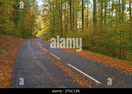 Eine gewundene Straße im Wald, bedeckt mit bunten Herbstblättern, eingebettet in eine herbstliche Landschaft, Altenbuch, Stadtteil Miltenberg, Spessart, Ba Stockfoto