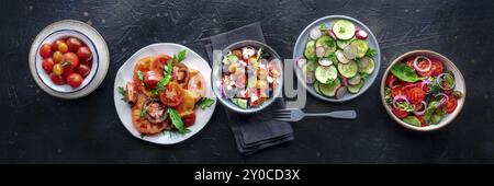 Panorama mit frischen vegetarischen Salaten, Flachbild-Lay-Shot von einer Auswahl. Auswahl an Tellern und Schüsseln mit grünem Gemüse. Gesundes Essen, Top-Shot, Stockfoto