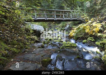 Eine hölzerne Brücke überspannt einen kleinen kaskadierenden Gebirgsbach bei Fern Falls im Norden von Idaho Stockfoto