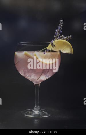 Cocktail mit frischem Obst und Blumen. Gin Tonic Drink mit Eis auf einer Party, auf schwarzem Hintergrund. Alkohol mit Lavendel und Zitrone, getöntes Bild, F Stockfoto