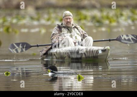 Ein redaktionelles Foto eines Fotografen in einem Kajak, der auf dem Fernan Lake in Nord-Idaho einen Seeteufer fliegt Stockfoto