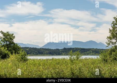 Blick auf den Chiemsee in Bayern mit Bergen, Wiese, Schilf und blauem Himmel Stockfoto