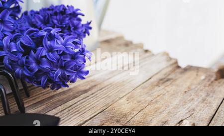 Gartenbauhobby-Konzept. Blauviolette Hyazinthe-Blütenblüte, kleine Garten-Pitchfork oder Rechen und Schaufel auf altem Holztisch-Hintergrund Stockfoto