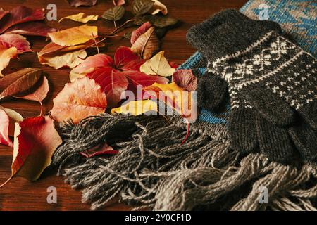 Handschuhe, Schal und herbstliches Laub auf einer dunklen Tabelle Stockfoto