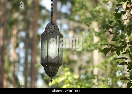 Hängelampe auf einer Schiene vor einem Wald aus Metall und Glas. Leuchtet. Orientalische Verarbeitung. Objektfoto Stockfoto