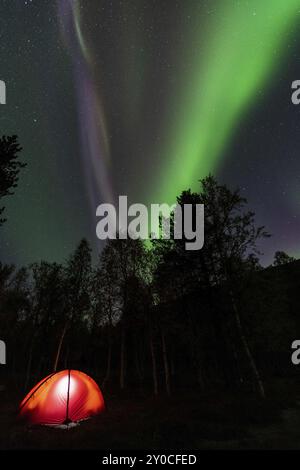 Nordlichter (Aurora borealis) reflektiert in einem See, Rago National Park, Nordland, Norwegen, Biwak, Zelt, Beleuchtung, Skandinavien, Europa Stockfoto