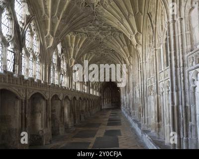 Die berühmten Kreuzgänge der Kathedrale von Gloucester in England, Großbritannien Stockfoto