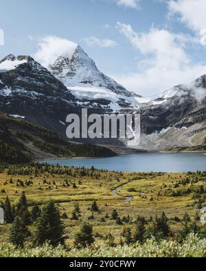 Malerischer See umgeben von Kiefern und schneebedeckten Bergen unter klarem Himmel, Mount Assiniboine, BC, Kanada, Nordamerika Stockfoto