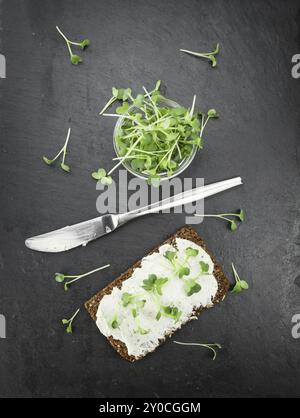 Rahmkäse auf einer Brotscheibe mit frischer Kresse (selektiver Fokus, Nahaufnahme) Stockfoto