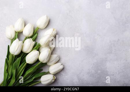 Blumenstrauß aus den weißen Tulpen am grauen Stein Hintergrund Kopie Raum flach Stockfoto