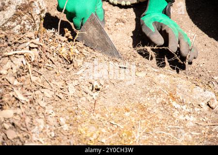 Hände eines Archäologen, der an einer archäologischen Ausgrabung mit einer Kelle arbeitet Stockfoto