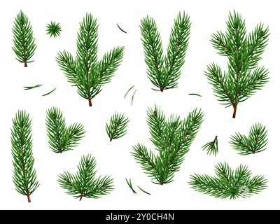 Grüne Tannenzweige. Realistische Tannenteile, weihnachtsbaumelemente für Design, Neujahr Winterurlaub natürliche dekorative botanische Objekte, Nadelbäume Stock Vektor