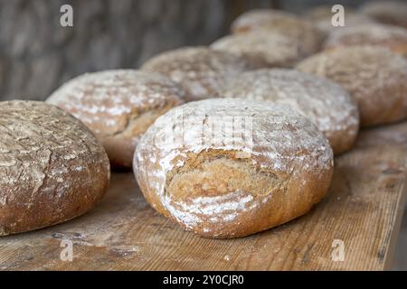 Bauernbrot frisch aus dem Ofen Stockfoto