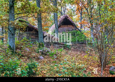 Schuppen und Zaun aus Ästen im Wald im Herbst gebaut Stockfoto