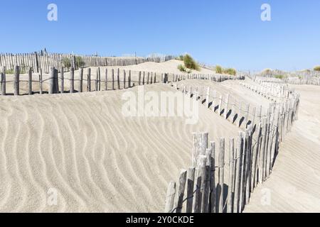 Dünenlandschaft am Strand L'espiguette in der Camargue, Südfrankreich Stockfoto