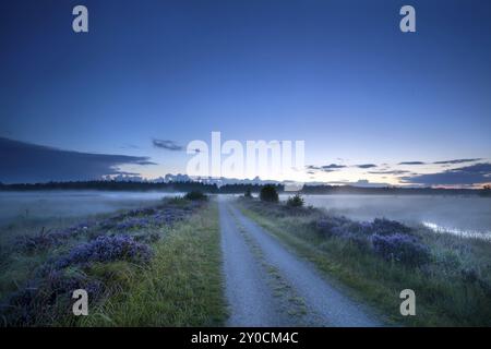 Landstraße in der Abenddämmerung durch Sumpf, Drenthe, Niederlande Stockfoto