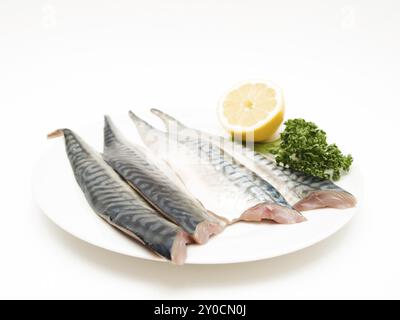 Rohes Makrelenfilet mit einer halben Zitrone und grüner Petersilie auf weißem Teller Stockfoto