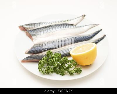 Rohes Makrelenfilet mit einer halben Zitrone und grüner Petersilie auf weißem Teller Stockfoto