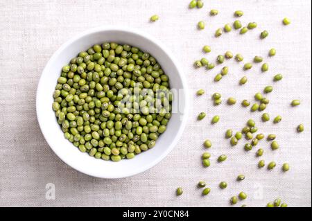 Mungbohnen, grünes Gramm in einer weißen Schüssel auf Leinenstoff. Getrocknete Samen von Vigna radiata, einem Mitglied der Leguminosenfamilie Fabaceae. Stockfoto