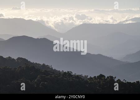 Wolken über Nebelwald, Bergregenwald, Parque Nacional Los Quetzales, Costa Rica, Mittelamerika Stockfoto