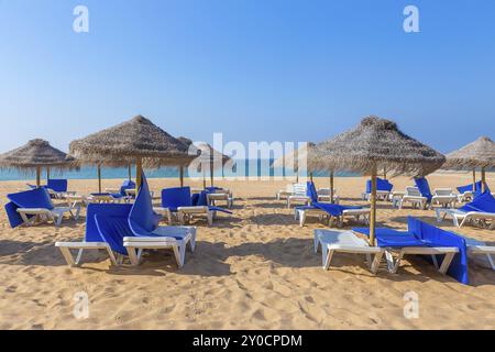 Gruppen-Strandschirme und blaue Strandliegen bei portugiesisch Küste Stockfoto