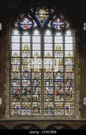 Gotische Kathedrale St. Bavo aus dem 10. Jahrhundert, Buntglasfenster, Gent, Flandern, Belgien, Europa Stockfoto