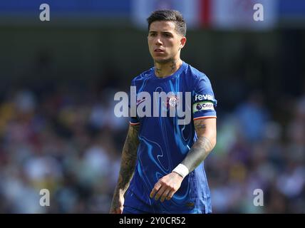 London, Großbritannien. September 2024. Chelsea's Enzo Fernandez während des Premier League-Spiels in Stamford Bridge, London. Der Bildnachweis sollte lauten: Paul Terry/Sportimage Credit: Sportimage Ltd/Alamy Live News Stockfoto