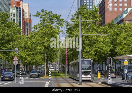 Städtische Begrünung, innerstädtische Straße Laan op Zuid, im Rotterdamer Stadtteil Feijenoord, 4 Fahrspuren, 2 Straßenbahnschienen, Radwege auf beiden Seiten, Gehsteige und p Stockfoto