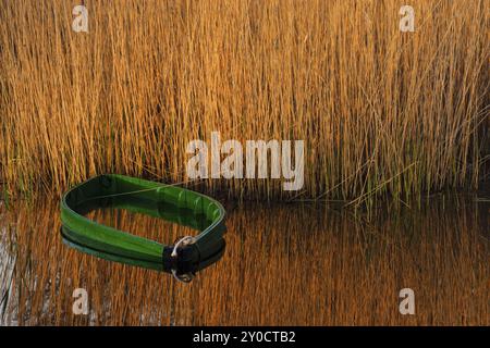 Parque nacional Tablas de Daimiel, Ciudad Real, Castilla-La Mancha, espana, Europa Stockfoto