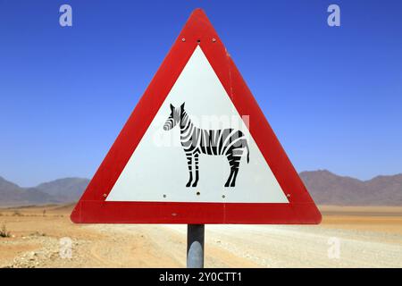 Schild Zebras überqueren Sie einen Schotterweg im Namibrand Nature Reserve in Namibia Stockfoto