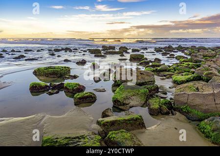 Bemoosten Steinen und Wellen zwischen den Gewässern des Cal Beach in Torres-Stadt, Rio Grande do Sul Stockfoto