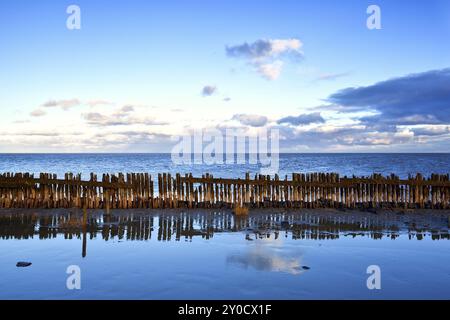 Alte hölzerne Wellenbrecher in der Nordsee bei Ebbe, Holland Stockfoto