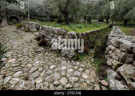 Acequias tradicionales de piedra, Clot d¨Albarca, Escorca, sierra de Tramuntana, Mallorca, balearen, spanien Stockfoto