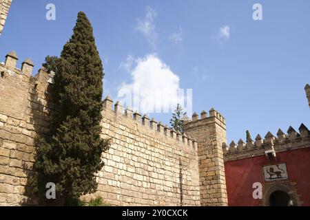 Reales Alcazares (Königliche Alcazars) von Sevilla. Details der äußeren Verteidigungsmauern Stockfoto