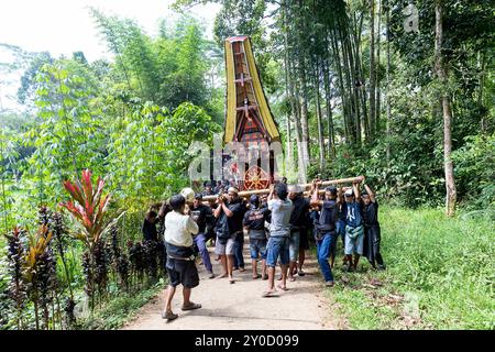 Trauerprozession in einem Dorf in der Nähe von Rantepao in Tana Toraja, einheimische Männer trugen Sarg, der Leichenwagen in Form eines traditionellen Hauses, Sulawesi Stockfoto