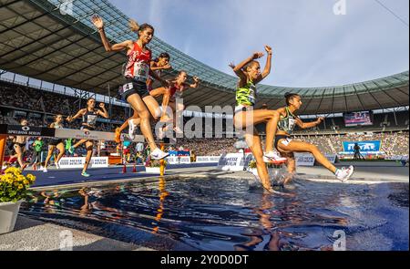 Berlin, Deutschland. September 2024. Leichtathletik: Meeting, ISTAF, Entscheidung, 2000 m Hindernislauf, Frauen, Olympiastadion. Teilnehmer in Aktion. Darlegung: Andreas Gora/dpa/Alamy Live News Stockfoto