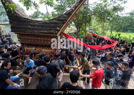 Beerdigungszeremonie in einem Dorf in der Nähe von Rantepao in Tana Toraja, einheimische Männer trugen Sarg, der Leichenwagen in Form eines traditionellen Hauses, Sulawesi Stockfoto