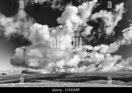 Blick vom Berg Elgahogna, Femundsmarka Nationalpark, zum See Femunden, Hedmar Fylke, Norwegen, Juli 2011, Europa Stockfoto