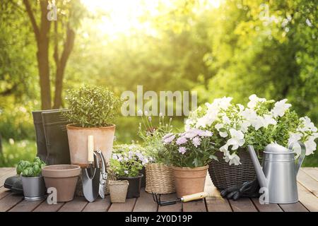 Verschiedene Topfblumen, Kräuter, Gartengeräte auf grünem Gartenbaum-Hintergrund. Hobby-Konzept mit Pflanzen, Blumentöpfe auf einer hölzernen Terrasse Stockfoto