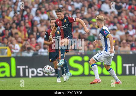 Milan Badelj (Genua) - Vitor Manuel Carvalho Oliveira (Genua) - Casper Tengstedt (Verona) während des Spiels Genua CFC gegen Hellas Verona FC, italienische Fußball Serie A in Genua, Italien, 01. September 2024 Stockfoto